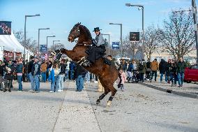 Cheval Passion 2025 - Avignon