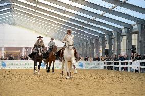 Cheval Passion 2025 - Avignon