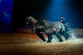 Cheval Passion 2025 - Avignon
