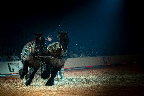 Cheval Passion 2025 - Avignon