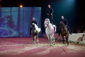 Cheval Passion 2025 - Avignon