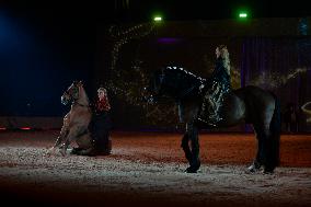 Cheval Passion 2025 - Avignon