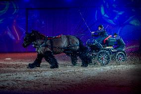 Cheval Passion 2025 - Avignon