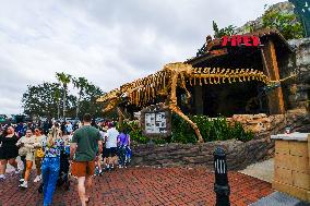 Visitors At Disney Springs In Florida