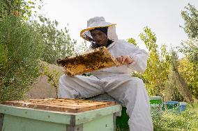 Afghan Women Honey Farming