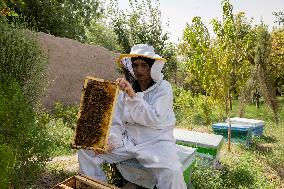 Afghan Women Honey Farming