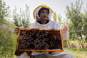 Afghan Women Honey Farming