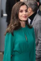 Queen Letizia Attends International Day Against Cancer - Madrid