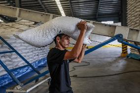 Philippines Declares Food Security Emergency To Curb High Rice Prices