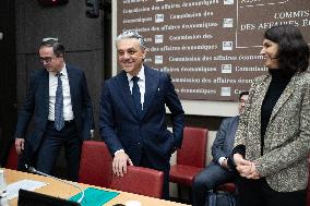 Luca De Meo Hearing at the National Assembly - Paris RL