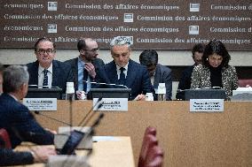 Luca De Meo Hearing at the National Assembly - Paris RL