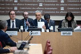 Luca De Meo Hearing at the National Assembly - Paris RL