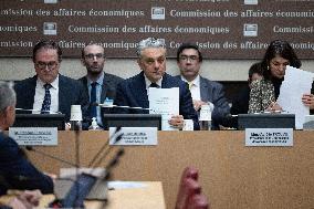 Luca De Meo Hearing at the National Assembly - Paris RL