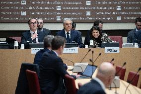 Luca De Meo Hearing at the National Assembly - Paris RL