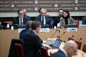 Luca De Meo Hearing at the National Assembly - Paris RL