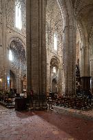 Basilique Saint-Maximin-Emile Illustration