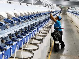 Xinjiang Textile Industry