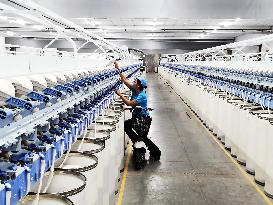 Xinjiang Textile Industry