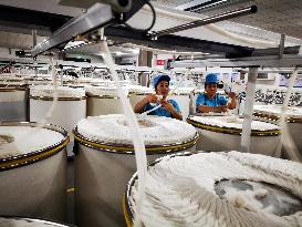 Xinjiang Textile Industry