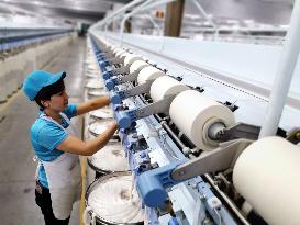 Xinjiang Textile Industry