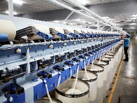 Xinjiang Textile Industry