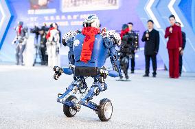 Humanoid Robots - China