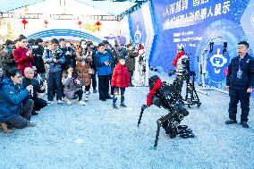 Humanoid Robots - China