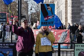 Protest Against Brexit In London