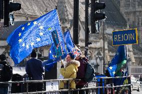 Protest Against Brexit In London