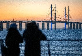 ÖRESUND BRIDGE IN MOURNING LIGHT