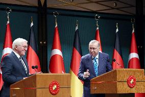 Steinmeier And Erdogan Press Conference - Ankara