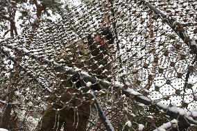 Tank crewmen defend Ukraine against Russian occupiers in Kharkiv region