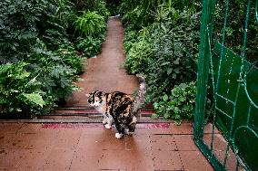 Greenhouses of Zaporizhzhia Botanical Garden restored after Russian attacks
