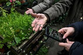 Greenhouses of Zaporizhzhia Botanical Garden restored after Russian attacks