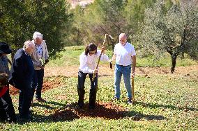 Goya Awards - Maribel Verdu, Leonor Watling And Aitana Sanchez-Gijon Plant Holm Oak Trees