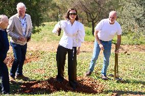 Goya Awards - Maribel Verdu, Leonor Watling And Aitana Sanchez-Gijon Plant Holm Oak Trees