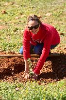 Goya Awards - Maribel Verdu, Leonor Watling And Aitana Sanchez-Gijon Plant Holm Oak Trees