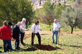 Goya Awards - Maribel Verdu, Leonor Watling And Aitana Sanchez-Gijon Plant Holm Oak Trees