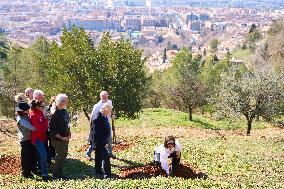 Goya Awards - Maribel Verdu, Leonor Watling And Aitana Sanchez-Gijon Plant Holm Oak Trees