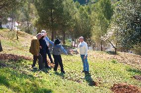 Goya Awards - Maribel Verdu, Leonor Watling And Aitana Sanchez-Gijon Plant Holm Oak Trees