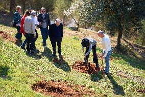 Goya Awards - Maribel Verdu, Leonor Watling And Aitana Sanchez-Gijon Plant Holm Oak Trees