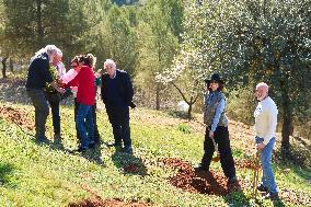 Goya Awards - Maribel Verdu, Leonor Watling And Aitana Sanchez-Gijon Plant Holm Oak Trees