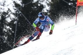 SPORT INVERNALI - Sci Alpino - FIS Alpine World Ski Championships - Men's SuperG