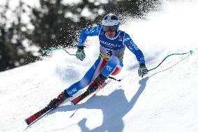 SPORT INVERNALI - Sci Alpino - FIS Alpine World Ski Championships - Men's SuperG