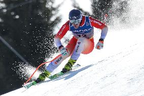 SPORT INVERNALI - Sci Alpino - FIS Alpine World Ski Championships - Men's SuperG