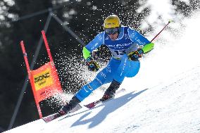 SPORT INVERNALI - Sci Alpino - FIS Alpine World Ski Championships - Men's SuperG