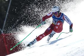 SPORT INVERNALI - Sci Alpino - FIS Alpine World Ski Championships - Men's SuperG