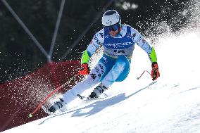 SPORT INVERNALI - Sci Alpino - FIS Alpine World Ski Championships - Men's SuperG