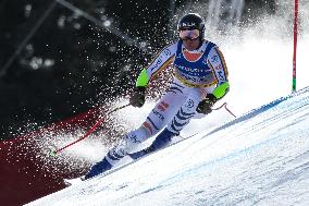 SPORT INVERNALI - Sci Alpino - FIS Alpine World Ski Championships - Men's SuperG