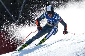 SPORT INVERNALI - Sci Alpino - FIS Alpine World Ski Championships - Men's SuperG